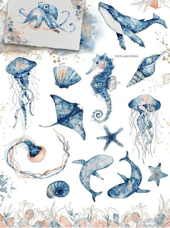 2022年威海市全国科普日活动——海洋生物知识科普宣传（一）